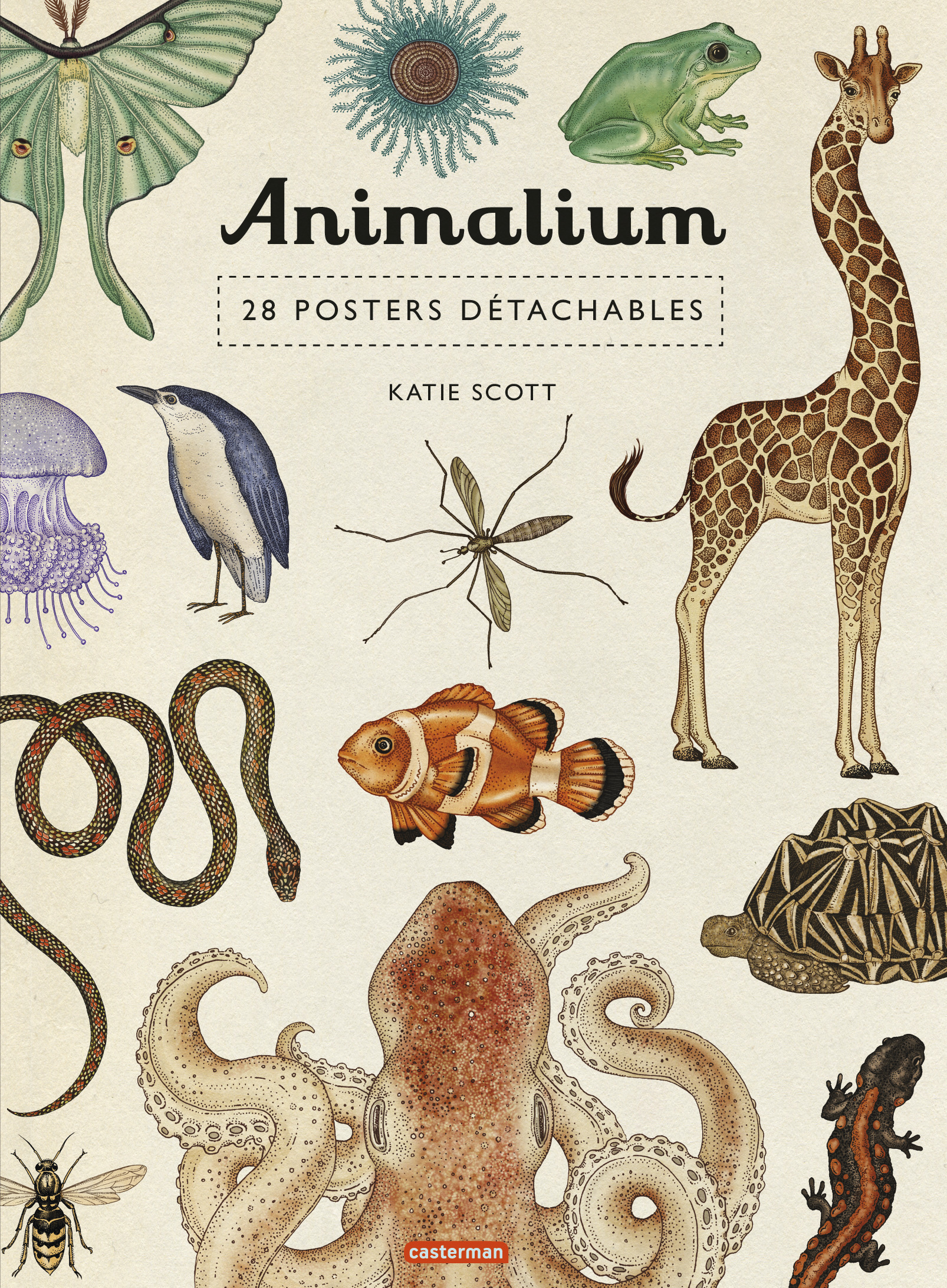 Encyclopedium - Animalium