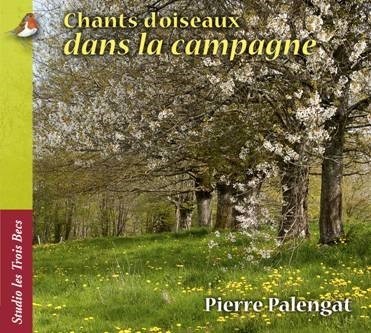 Chants d'oiseaux dans la campagne
