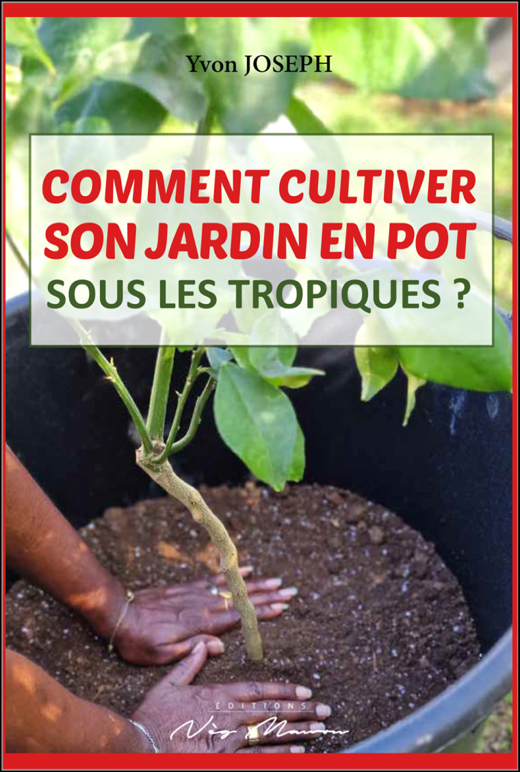 COMMENT CULTIVER SON JARDIN EN POT SOUS LES TROPIQUES ?