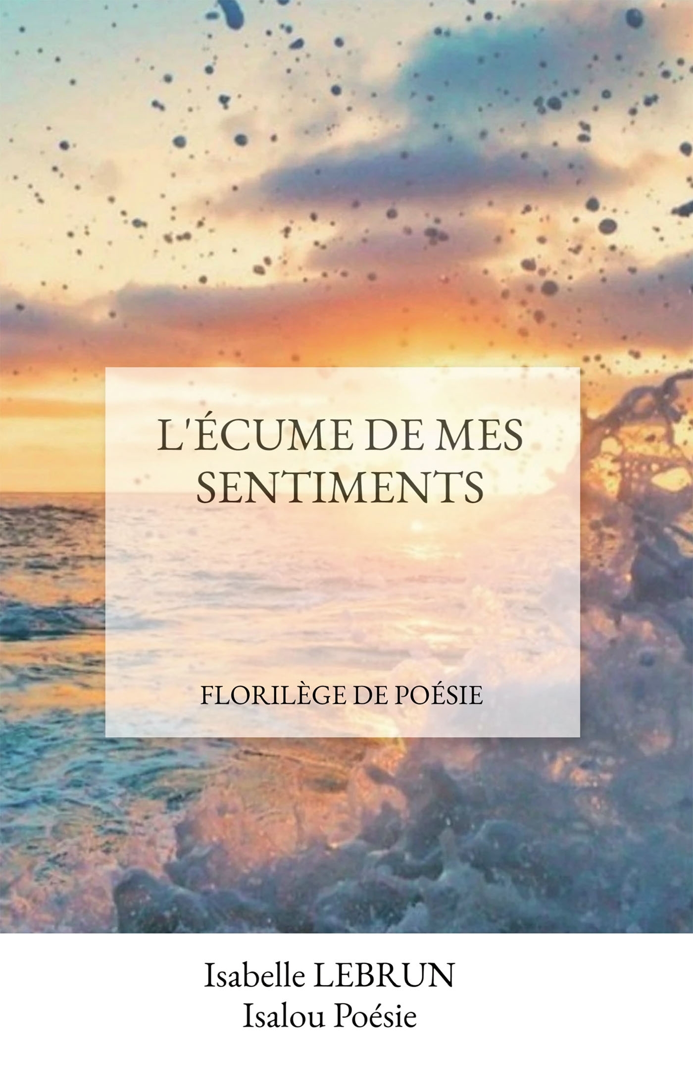 L'ÉCUME DE MES SENTIMENTS