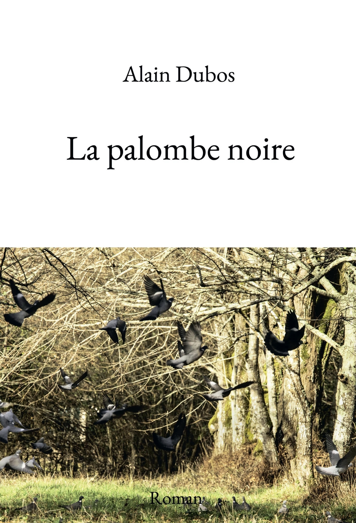 La palombe noire