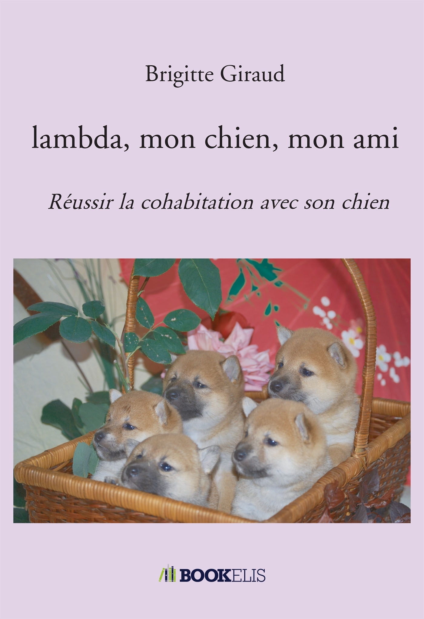 lambda, mon chien, mon ami