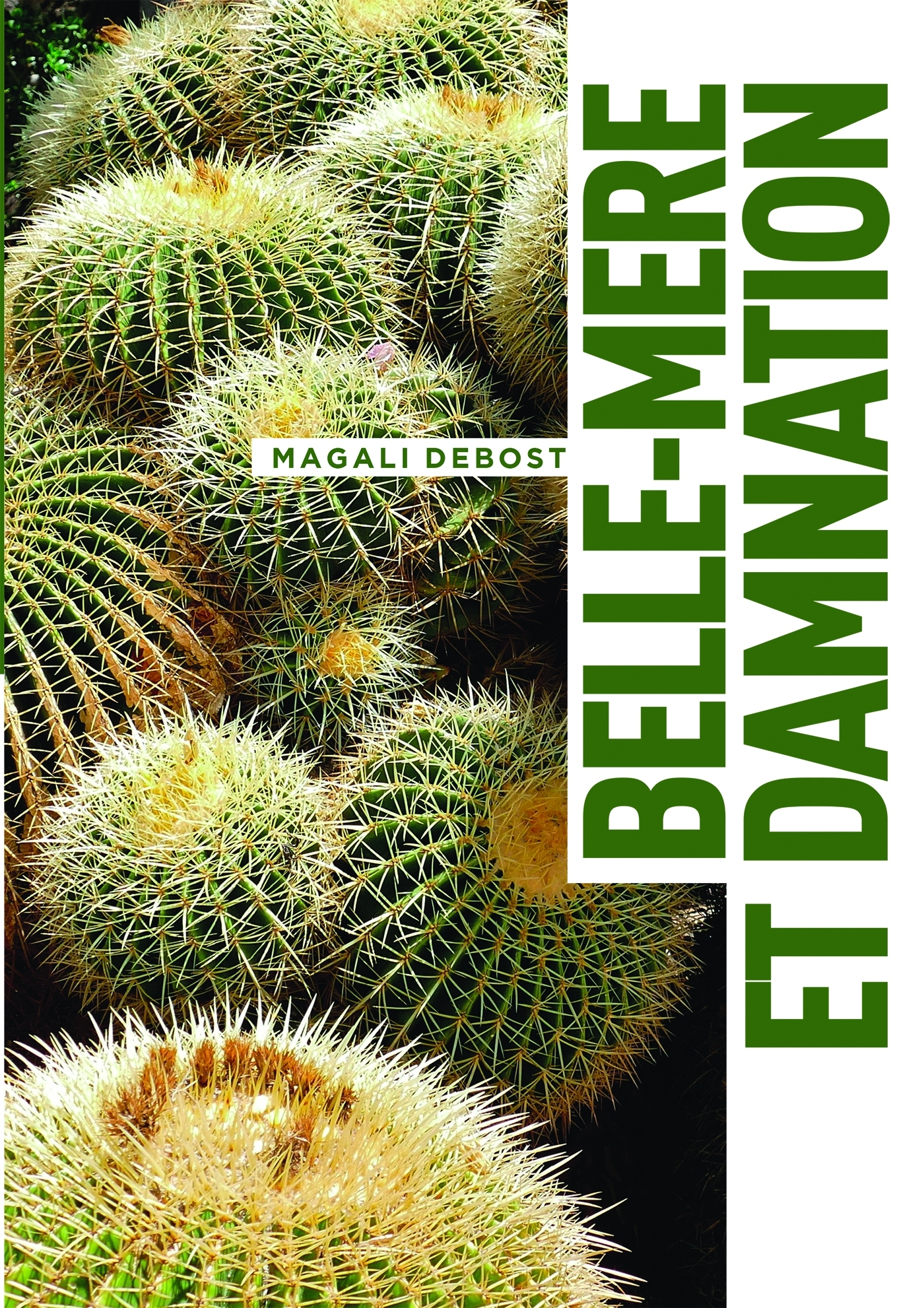 Belle-mère et damnation