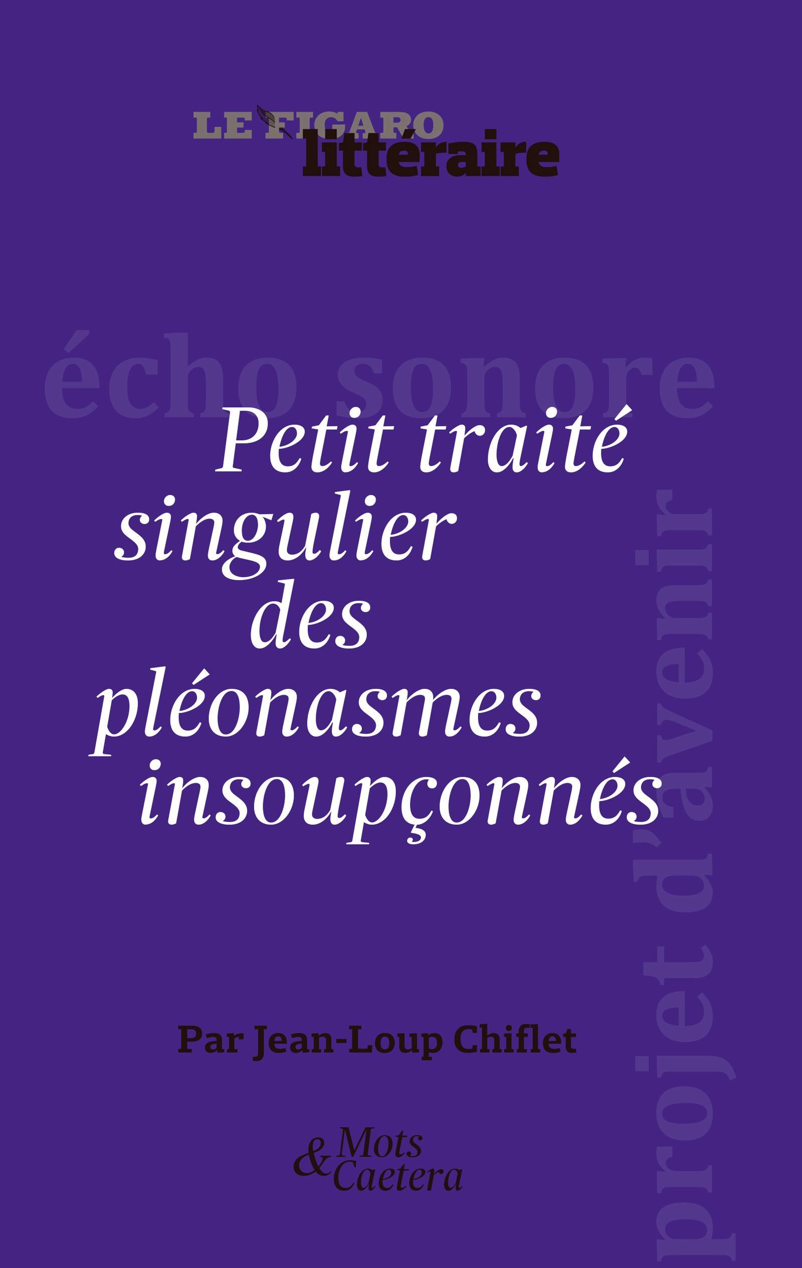 PETIT TRAITE SINGULIER DES PLEONASMES INSOUPCONNES