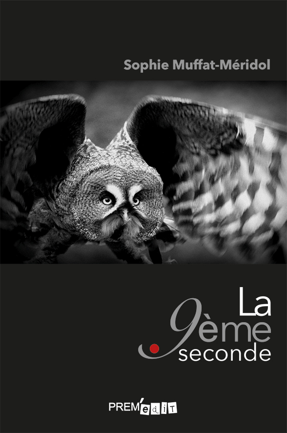 La neuvième seconde