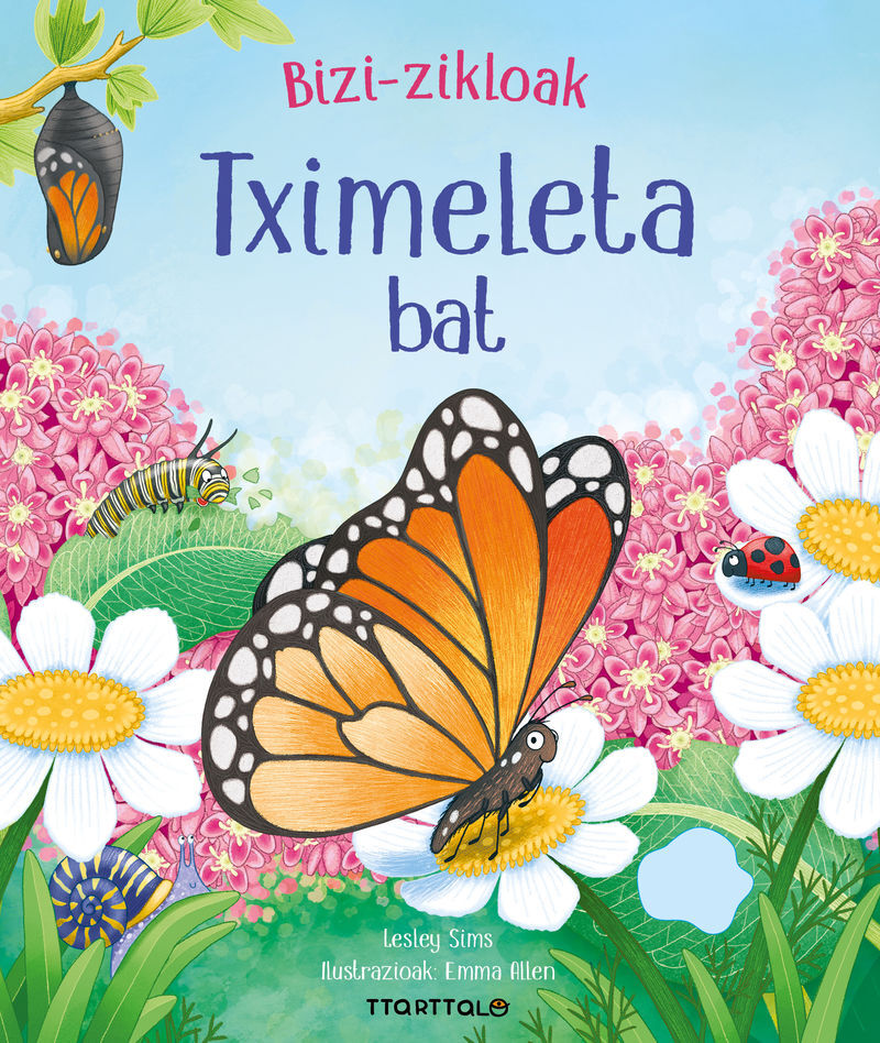 TXIMELETA BAT