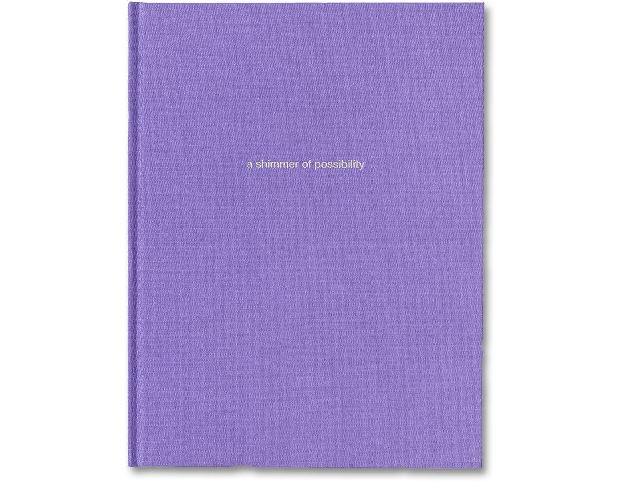 a shimmer of possibility