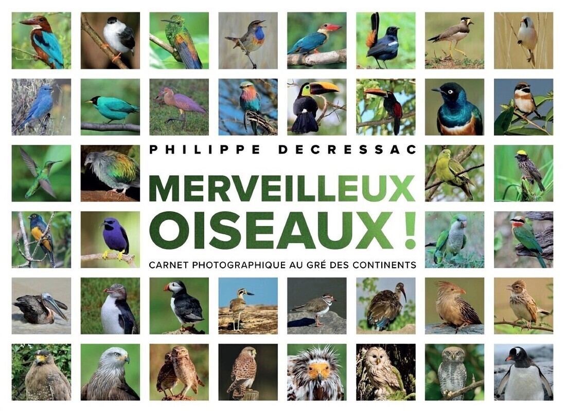 Merveilleux oiseaux !
