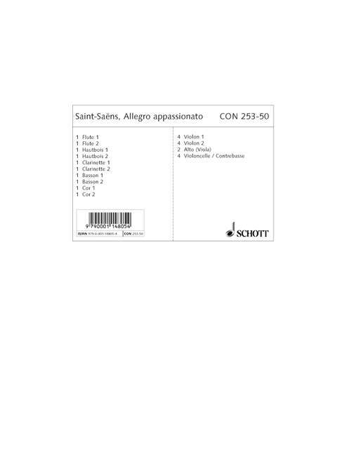 Allegro appassionato