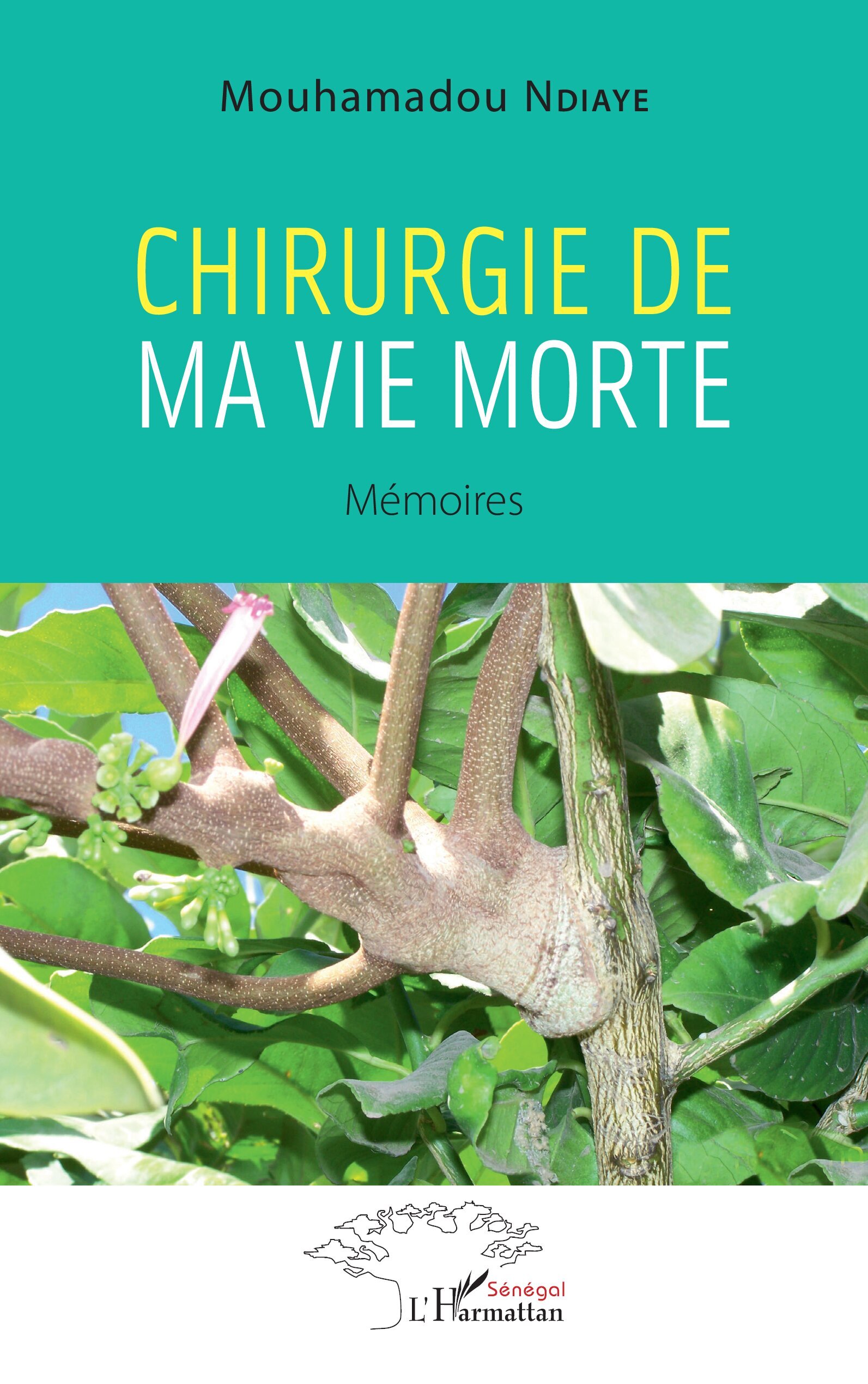 Chirurgie de ma vie morte