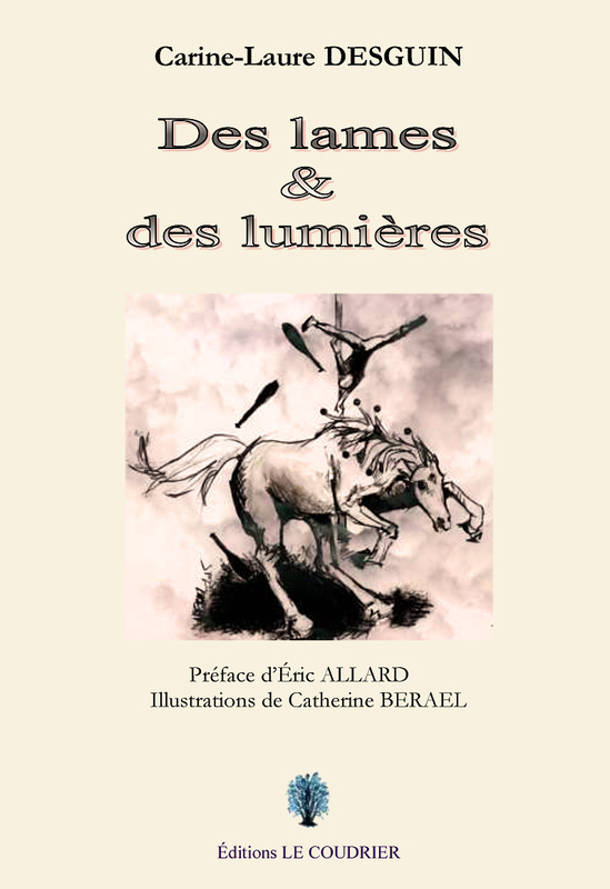 DES LAMES ET DES LUMIERES
