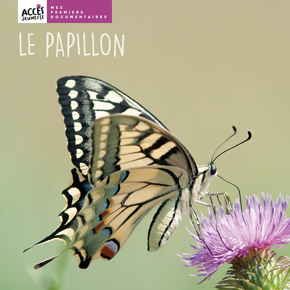 LE PAPILLON