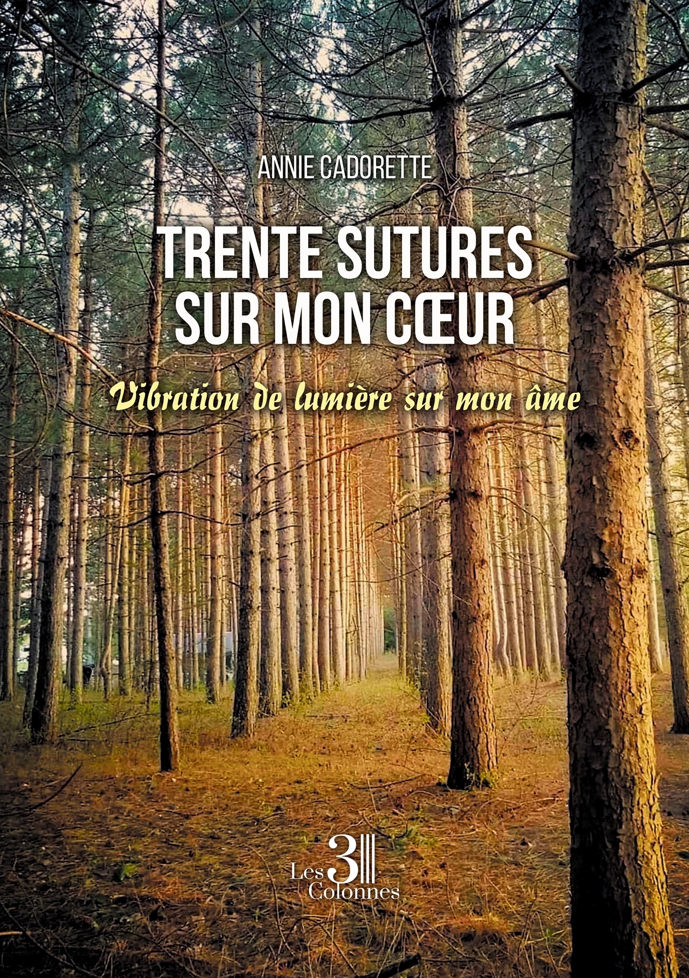 Trente sutures sur mon coeur - Vibration de lumière sur mon âme