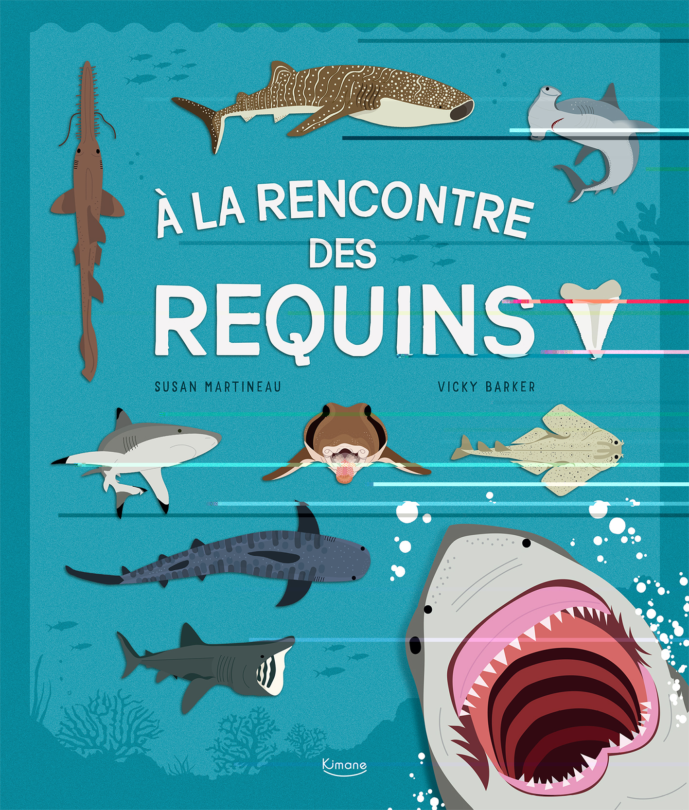 À la rencontre des requins