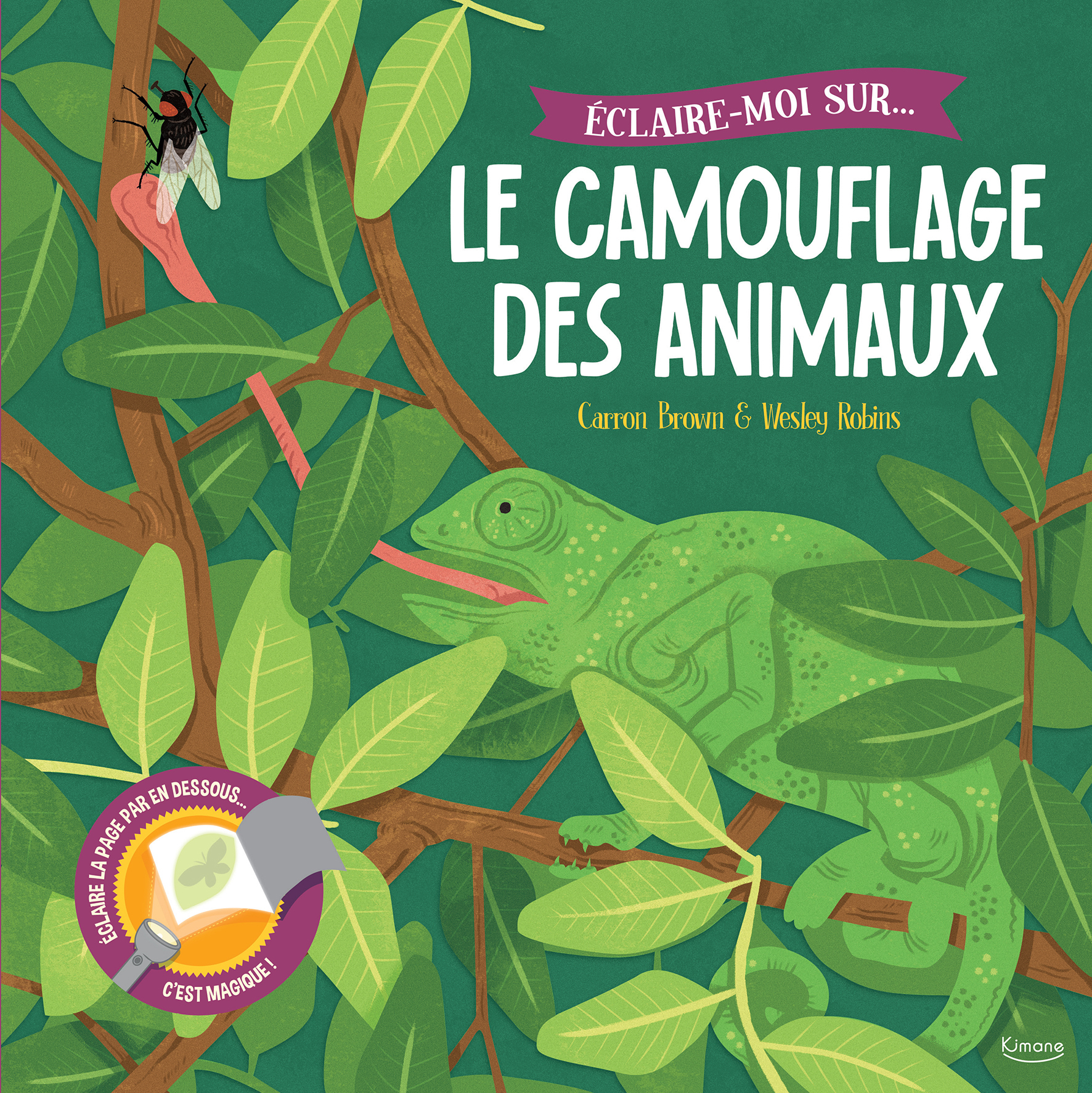 Éclaire-moi sur... le camouflage des animaux