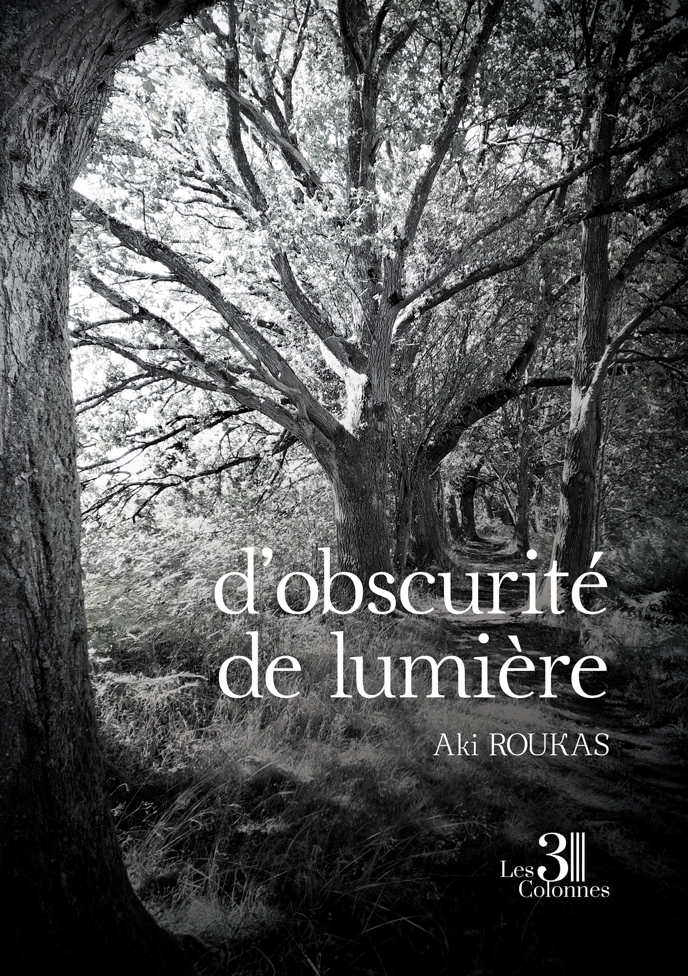 d'obscurité de lumière
