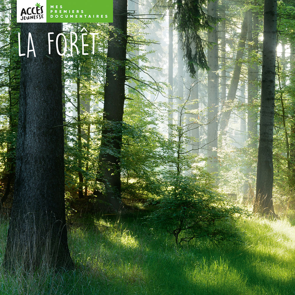 LA FORÊT