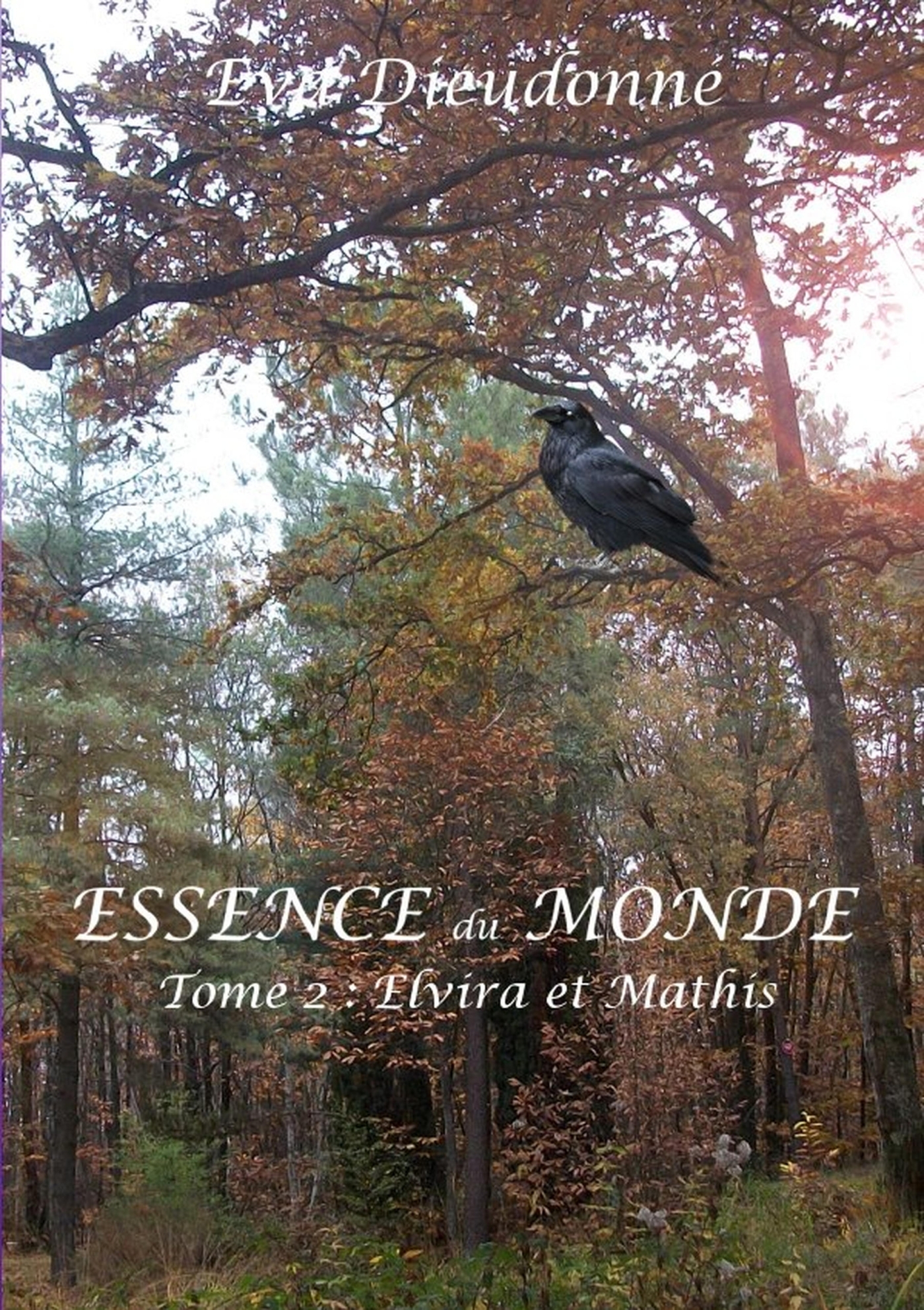 Essence du monde - Livre 2 : Elvira et Mathis