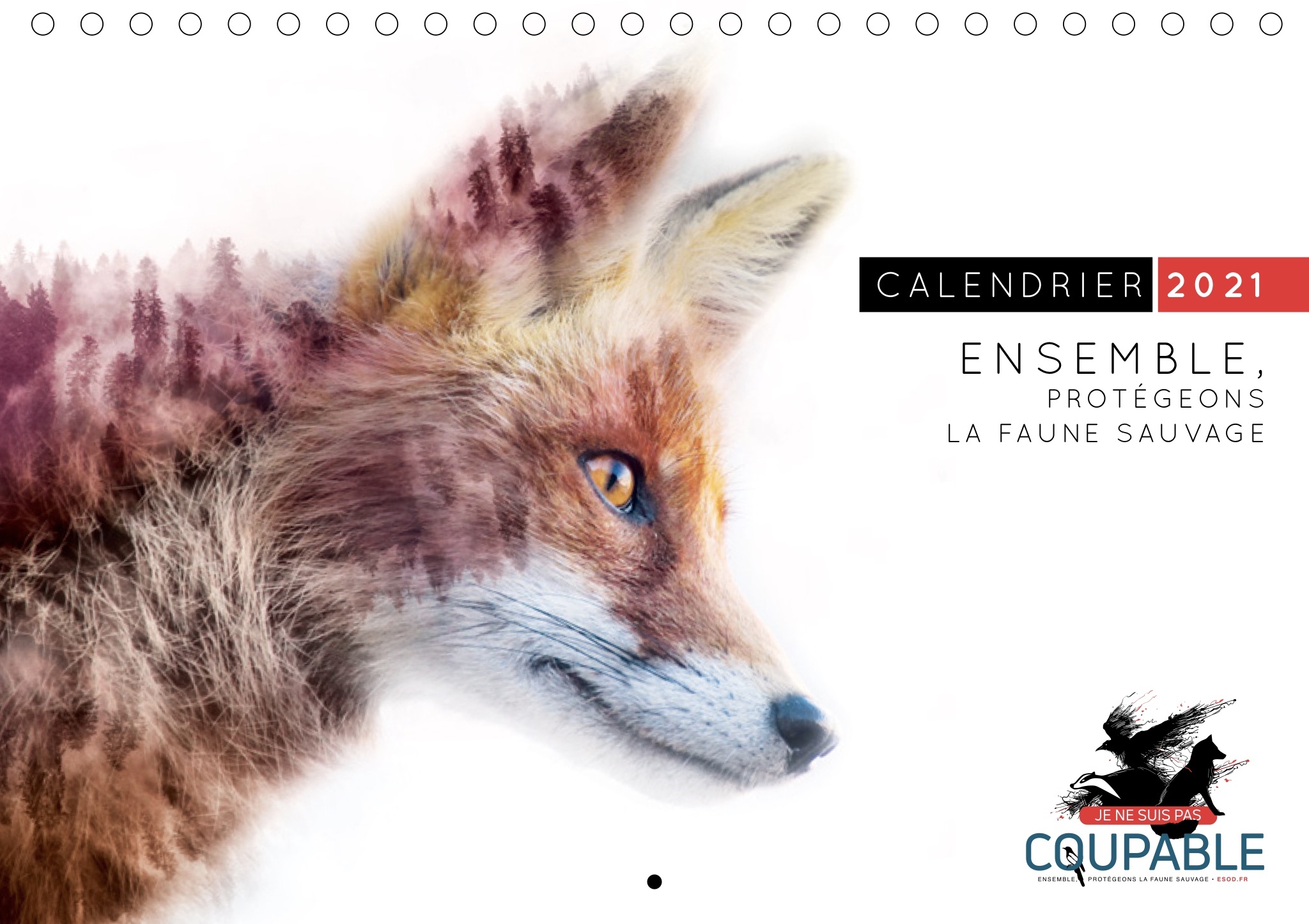 Calendrier 2021 : Ensemble, protégeons la faune sauvage