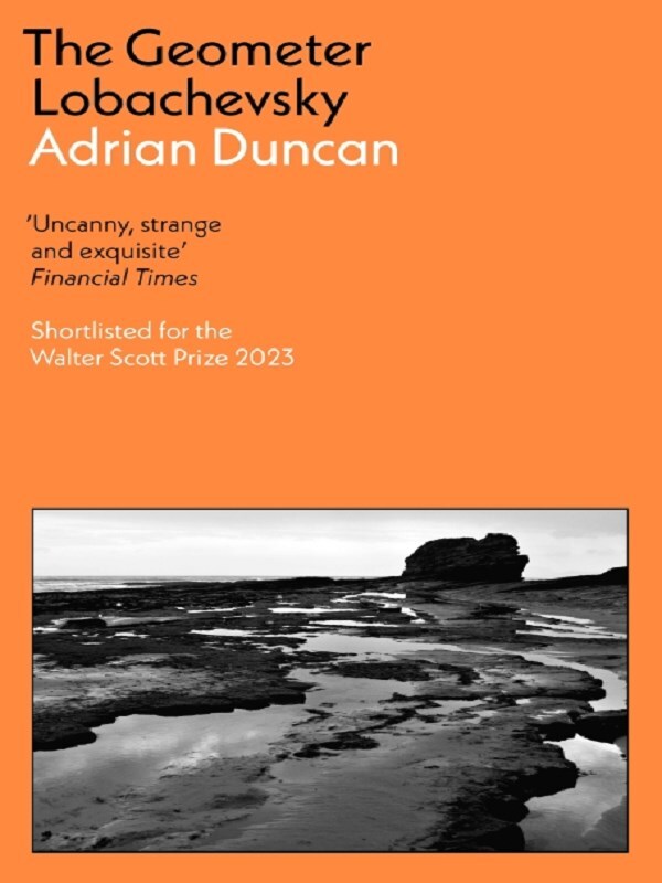 The Geometer Lobachevsky