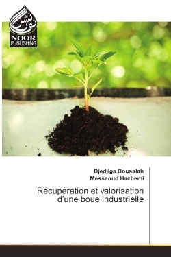 Recuperation et valorisation d'une boue industrielle