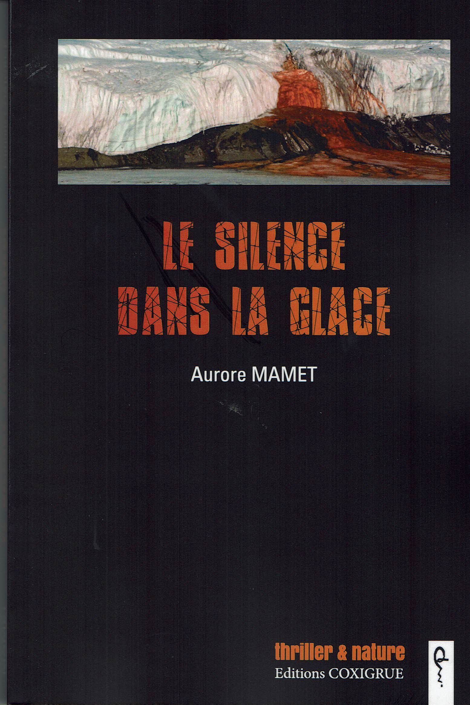 Le silence dans la glace
