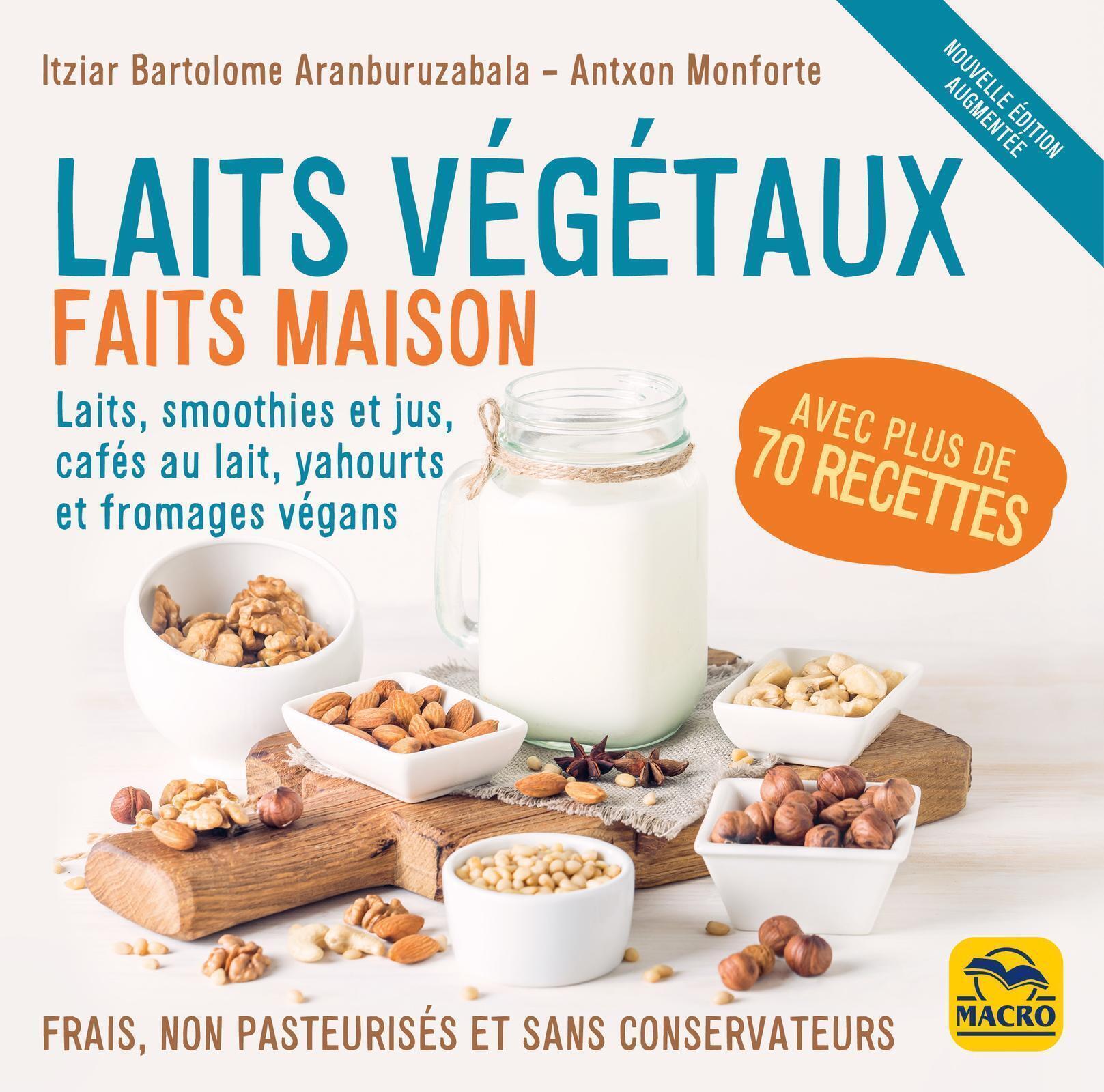 Laits végétaux faits maison