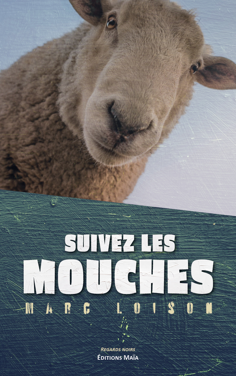 Suivez les mouches