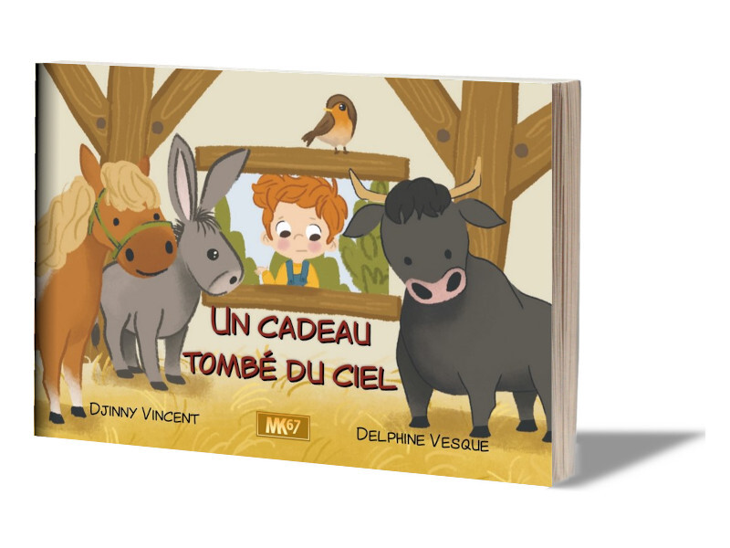 Un cadeau tombé du ciel (LIVRE SOUPLE)