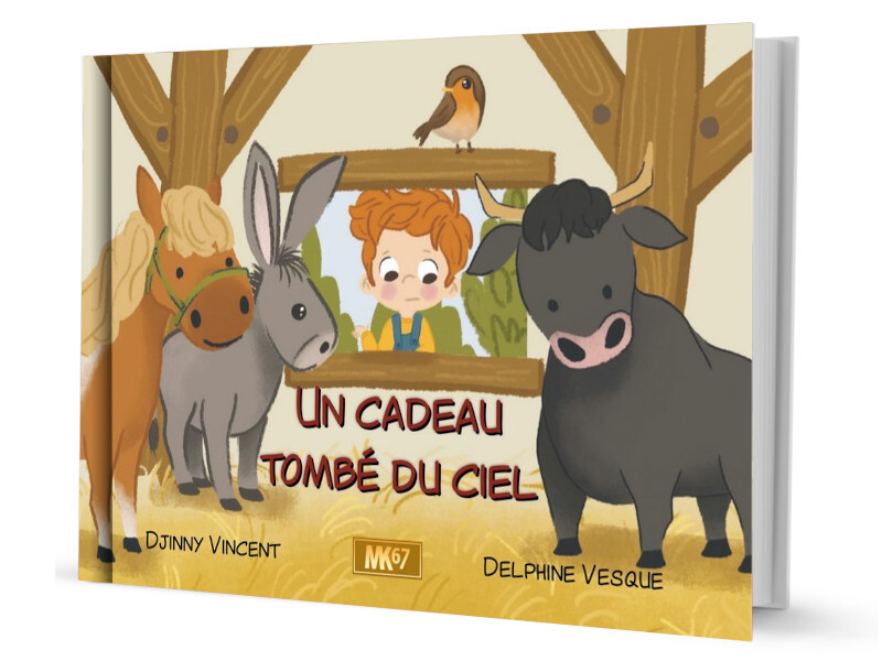 Un cadeau tombé du ciel (RIGIDE)