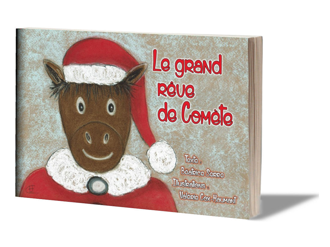 Le grand rêve de Comète (livre)