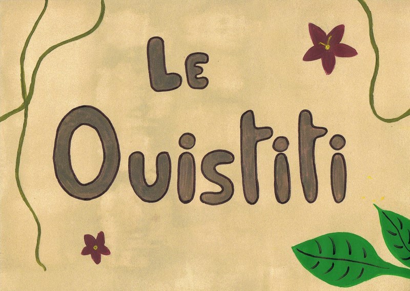 Le ouistiti