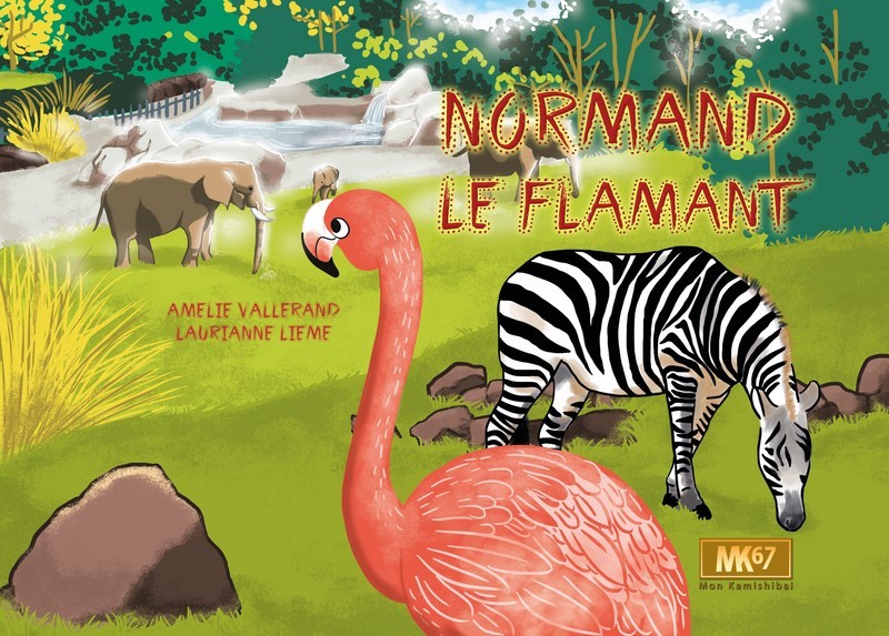 Normand le flamant