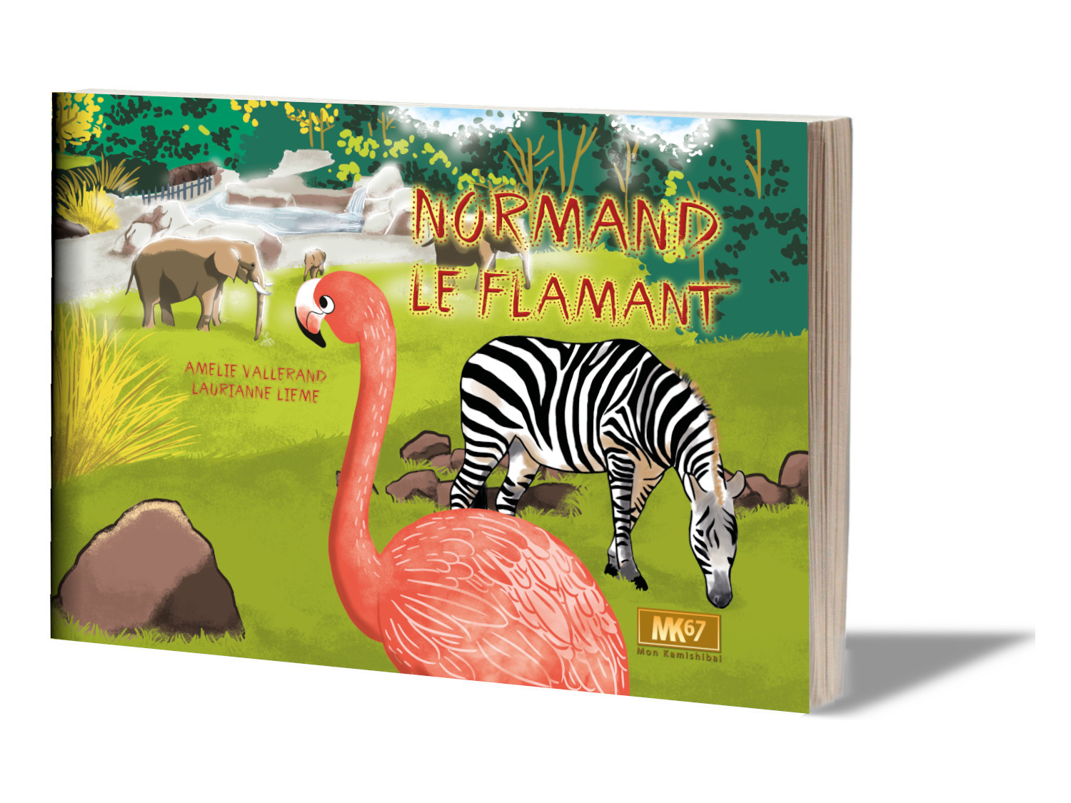 Normand le flamant