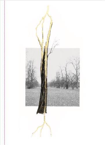 Giuseppe Penone Thoughts in the Roots /anglais