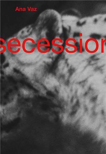 Ana Vaz Secession Wien /franCais/anglais