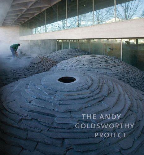 The Andy Goldsworthy Project /anglais