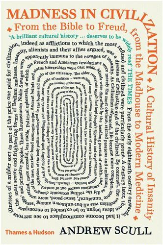Madness in Civilization (Paperback) /anglais