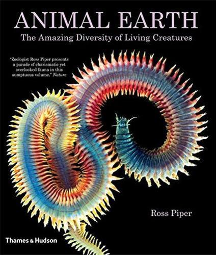 Animal Earth (paperback) /anglais