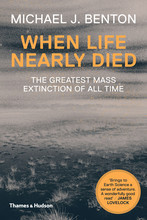 When Life Nearly Died (Paperback) /anglais
