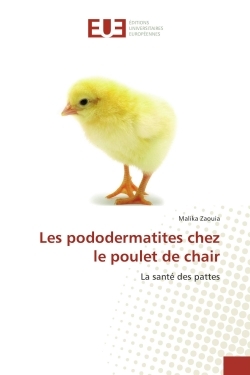 Les pododermatites chez le poulet de chair