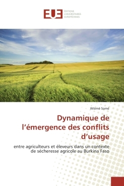Dynamique de l'emergence des conflits d'usage