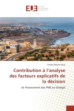 Contribution A l'analyse des facteurs explicatifs de la decision