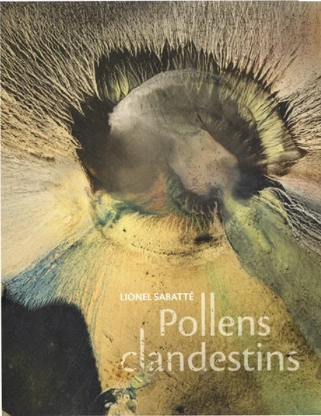 Lionel Sabatté. Pollens clandestins