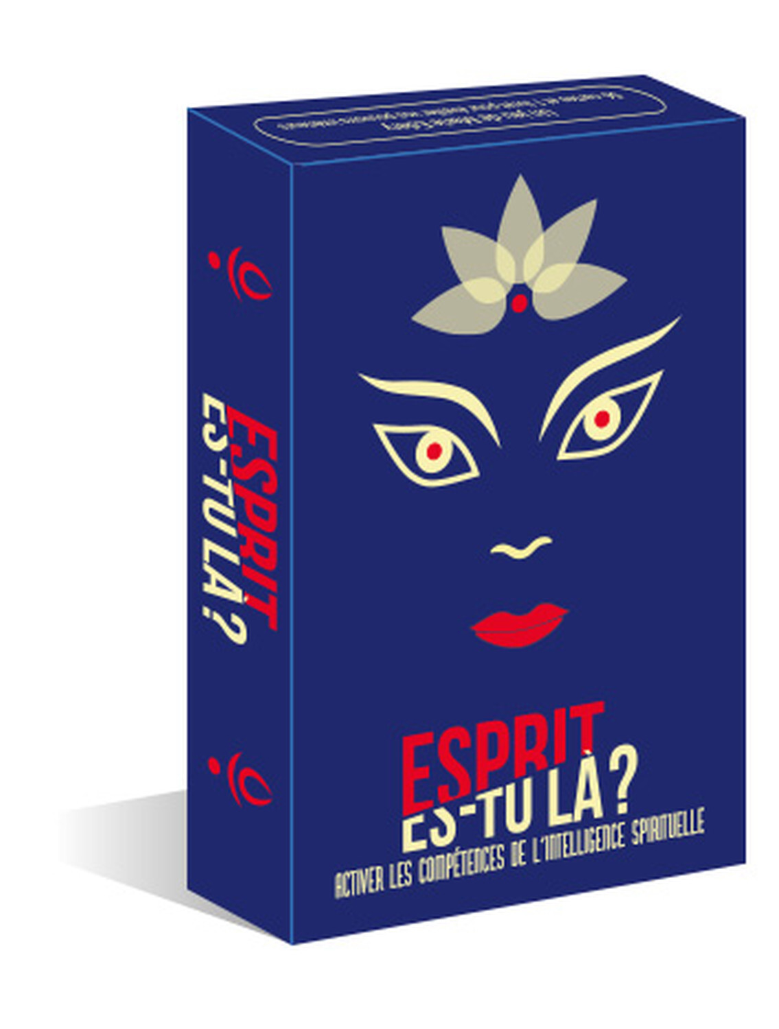 Esprit es-tu là ? Activer les compétences de l'intelligence spirituelle - Coffret