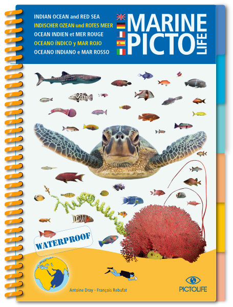 INDIAN OCEAN MARINE PICTOLIFE