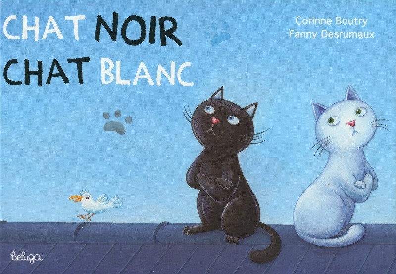 Chat noir chat blanc