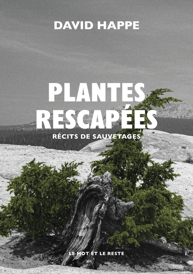 Plantes rescapées - Récits de sauvetages