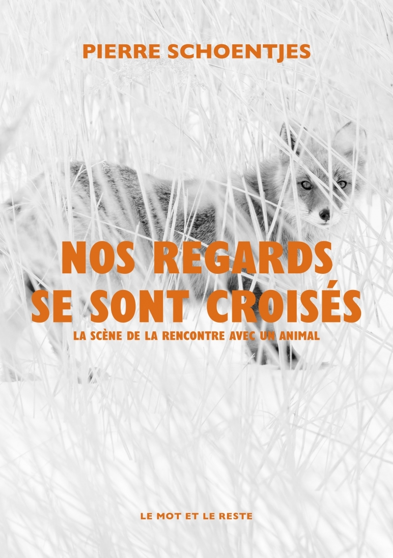 Nos regards se sont croisés - La scène de la rencontre avec