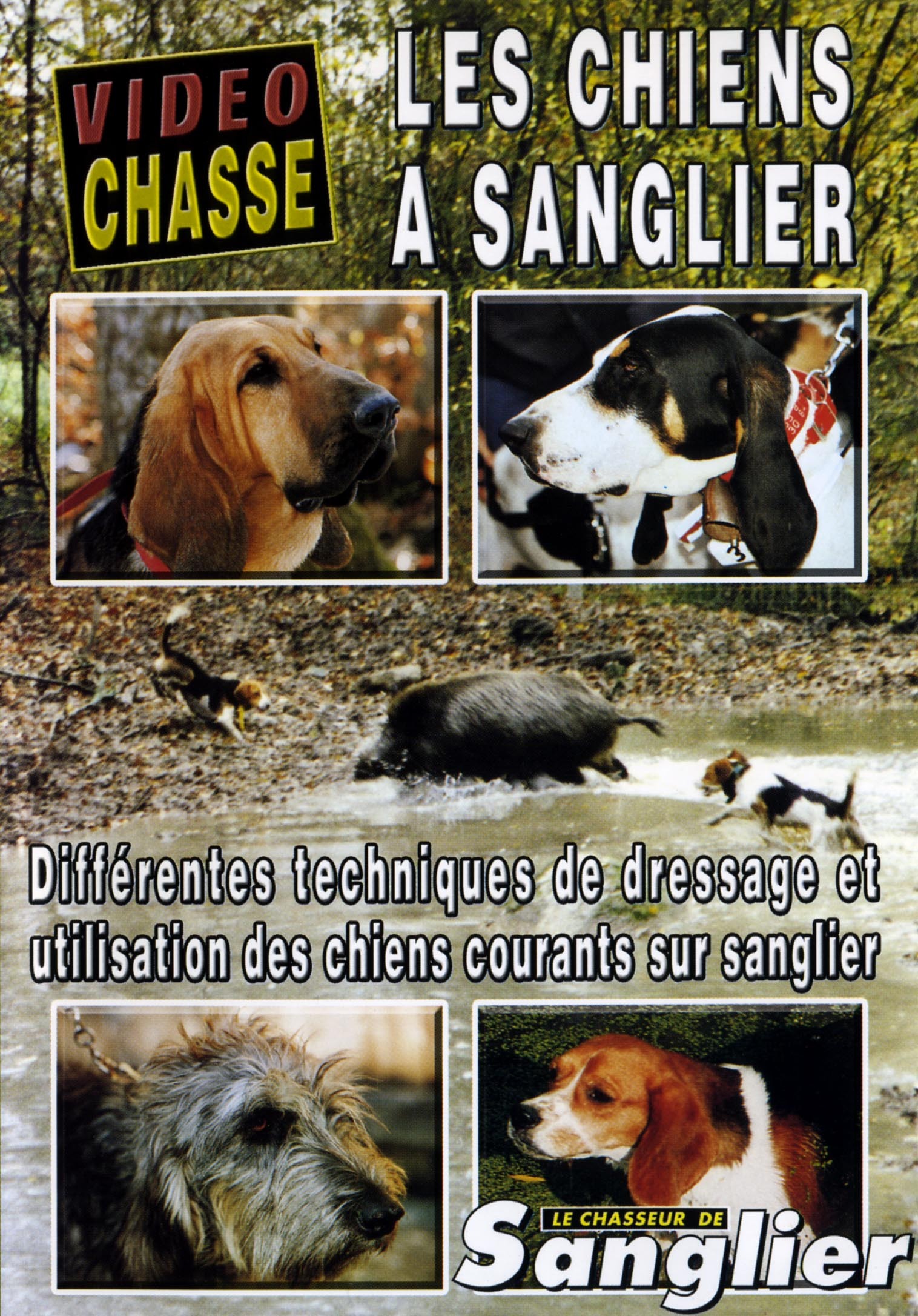 LES CHIENS A SANGLIER - DVD